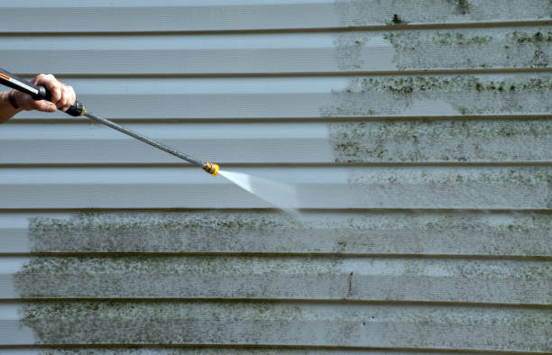 Best Roof Pressure Washing  in Lake Wazeecha, WI