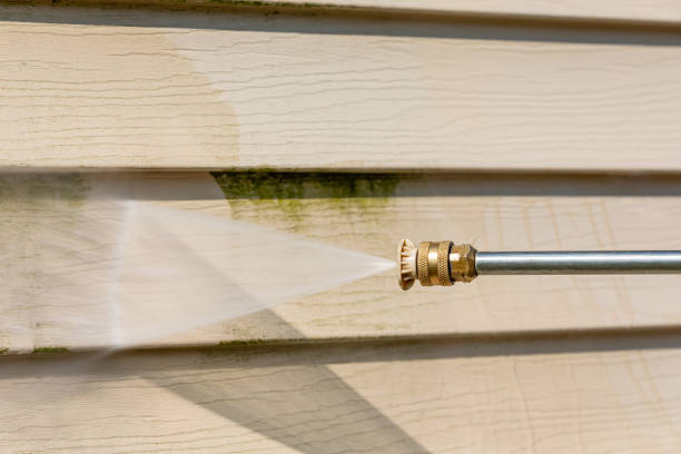 Best Affordable Pressure Washing  in Lake Wazeecha, WI