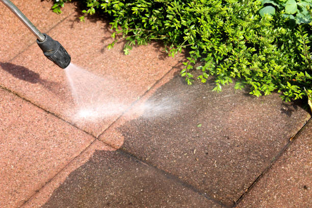 Best Exterior Home Cleaning  in Lake Wazeecha, WI